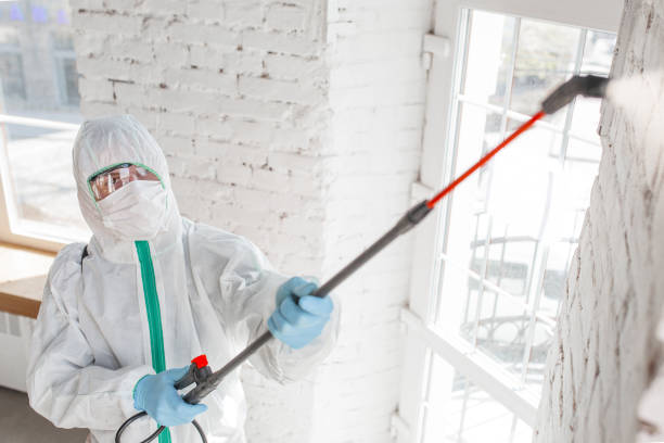 Best Biohazard Mold Removal  in Ironton, OH