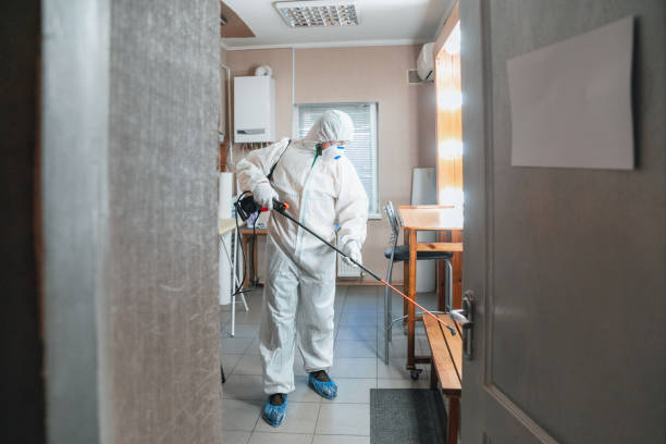 Best Biohazard Mold Removal  in Ironton, OH