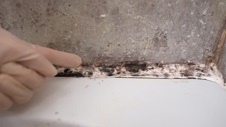 Best Residential Mold Inspection & Testing  in Ironton, OH